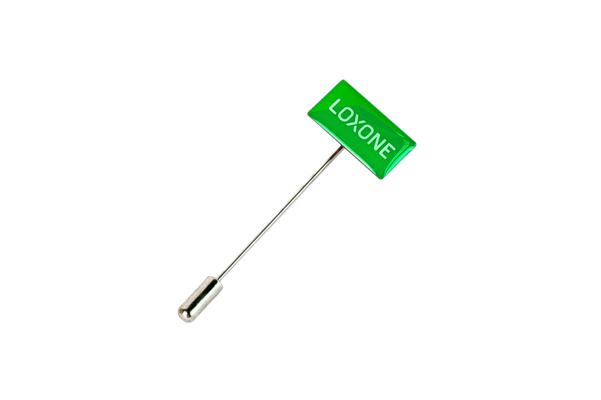 Pin