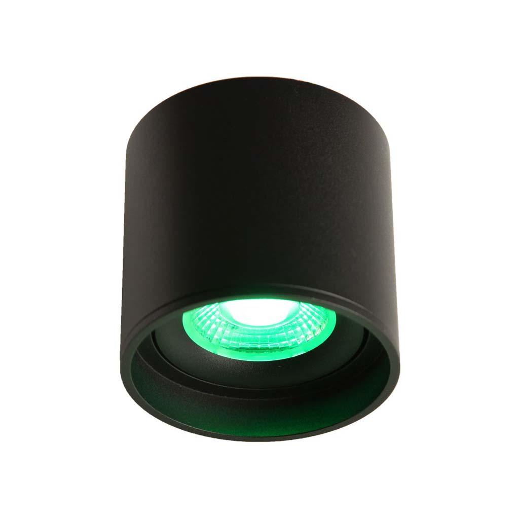LED Ceiling Spot 24V, 8W, RGBW/3000K, CRI90 Schwarz