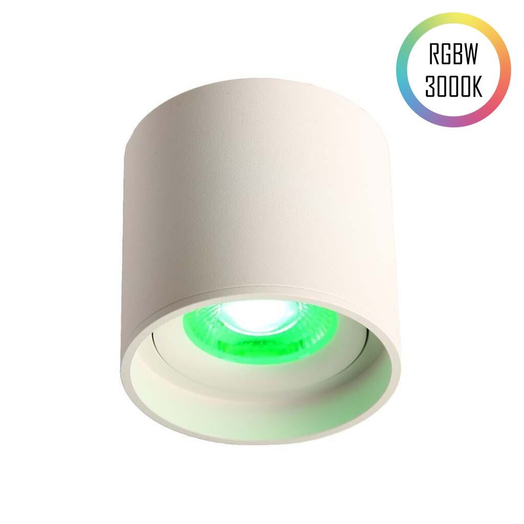 LED Ceiling Spot 24V, 8W, RGBW/3000K, CRI90 Weiß