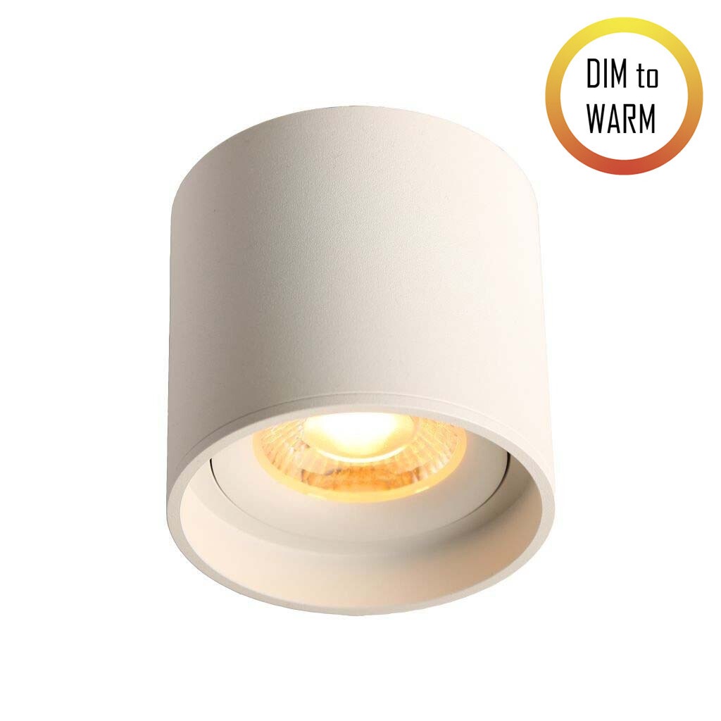 LED Ceiling Spot 24V, 8W, Dim to Warm, CRI90 Weiß