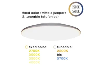 LED Surface Light 24V